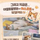 아델동물병원 이미지