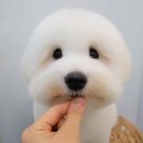 몽크의 아뜰리에 이미지