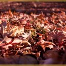 자연과한의원 수원 이미지