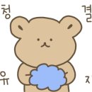 로이드밤 권선점 이미지