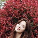 혜교 이미지