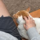 부전경로당 이미지