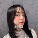 무잇(MUIT) 이미지