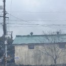 제주에선 쪼끌락 | 제주도 4박5일 여행 5일차 (명진전복 김녕쪼끌락 제주로컬푸드썸제주 바이제주)