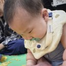 (주)동화에너지 - 34060 | 현대백화점 미아점 동화촉감놀이 당나귀똥 오구오구 5~9개월 막내반 여름학기 월요반 지니쌤 문화센터 후기