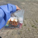 BHC상계행복점 | bhc 신메뉴 마법클, 솔직히 뿌링클보다 맛있는 듯