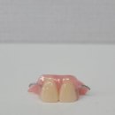 다윗치과기공소 이미지