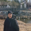 당현천산책 (백로및 천둥오리들) 2026년1월25일 이미지