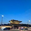 연화공원 | 창경궁 물빛연화 조기마감 실화…? 결국 낙산공원 다녀온 후기 (+플랜B 추천)
