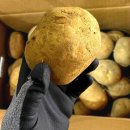 새빛유통 이미지