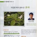 호야농원 이미지