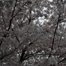 노벨리조트 이미지