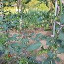 동신농장 이미지