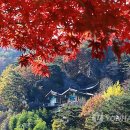 지리산아침 이미지