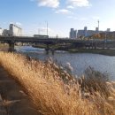 월계1교 이미지