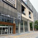 썸벅썸벅 네이버블로그