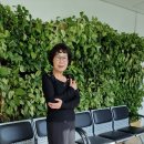 시니어라인댄스 이미지