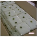 목포중앙초등학교 이미지