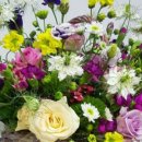 대동사랑공인중개사사무소 이미지