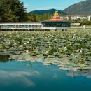 구산면551 이미지