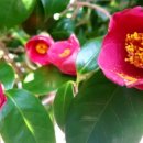 삼일공원(경로당) 이미지