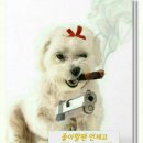멍멍멍 이미지