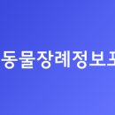 (주)마스꼬따 휴 네이버블로그