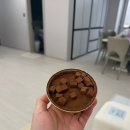 지에스(GS)25 광진구의점 이미지