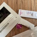 왈왈이 (무실점) 이미지