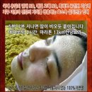 효소방 네이버블로그