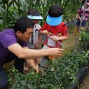 자연농장 이미지