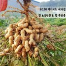 미르네농장 이미지