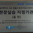 홍핏