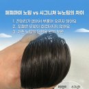 마미용헤어 | 충장로 미용실 실패하고 찾아낸 광주 퍼피마미 붙임머리 한피스 19만 비교후기