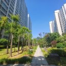 대치2-115 이미지