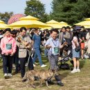 춘천시동물보호센터 이미지