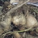 장현3리 이미지