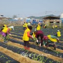 죽산농업협동조합 이미지