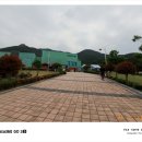 필름카메라 감성 더한 액션캠, 인스타360 GO 3S 레트로 번들 내돈내산 후기
