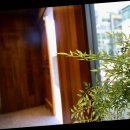 장어의힘 이미지