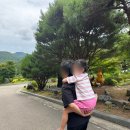 계룡산자연사박물관 | 공주 한국자연사박물관｜공룡 좋아하는 6살 아이와 실내 나들이