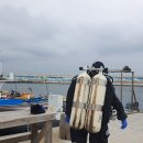 강원도 영진 스쿠버다이빙 후기(영진아쿠아존)