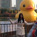 대 덕 사 이미지