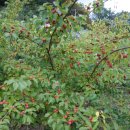 ㈜원예기업 이미지