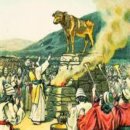 금송아지 이미지