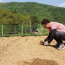 2020농장 이미지