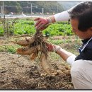 재남농장 이미지