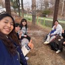 철원여자중학교, 철원여자고등학교_ 이미지