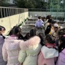 [12월 1주] 양파 볏집 덮어주기 &amp; 산타할아버지의 선물 &amp; 마켓데이&amp; 크리스마스 트리 만들기 이미지