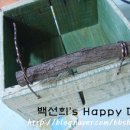 미니박스 이미지